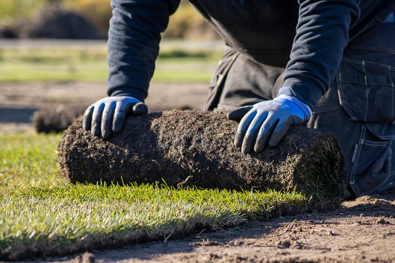 Turfing Service
