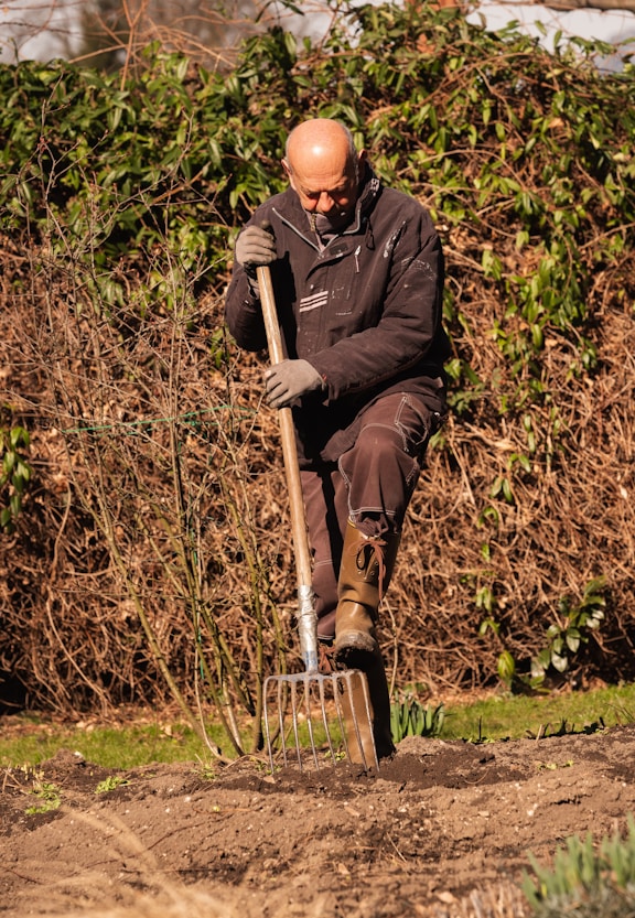 Seasonal Service