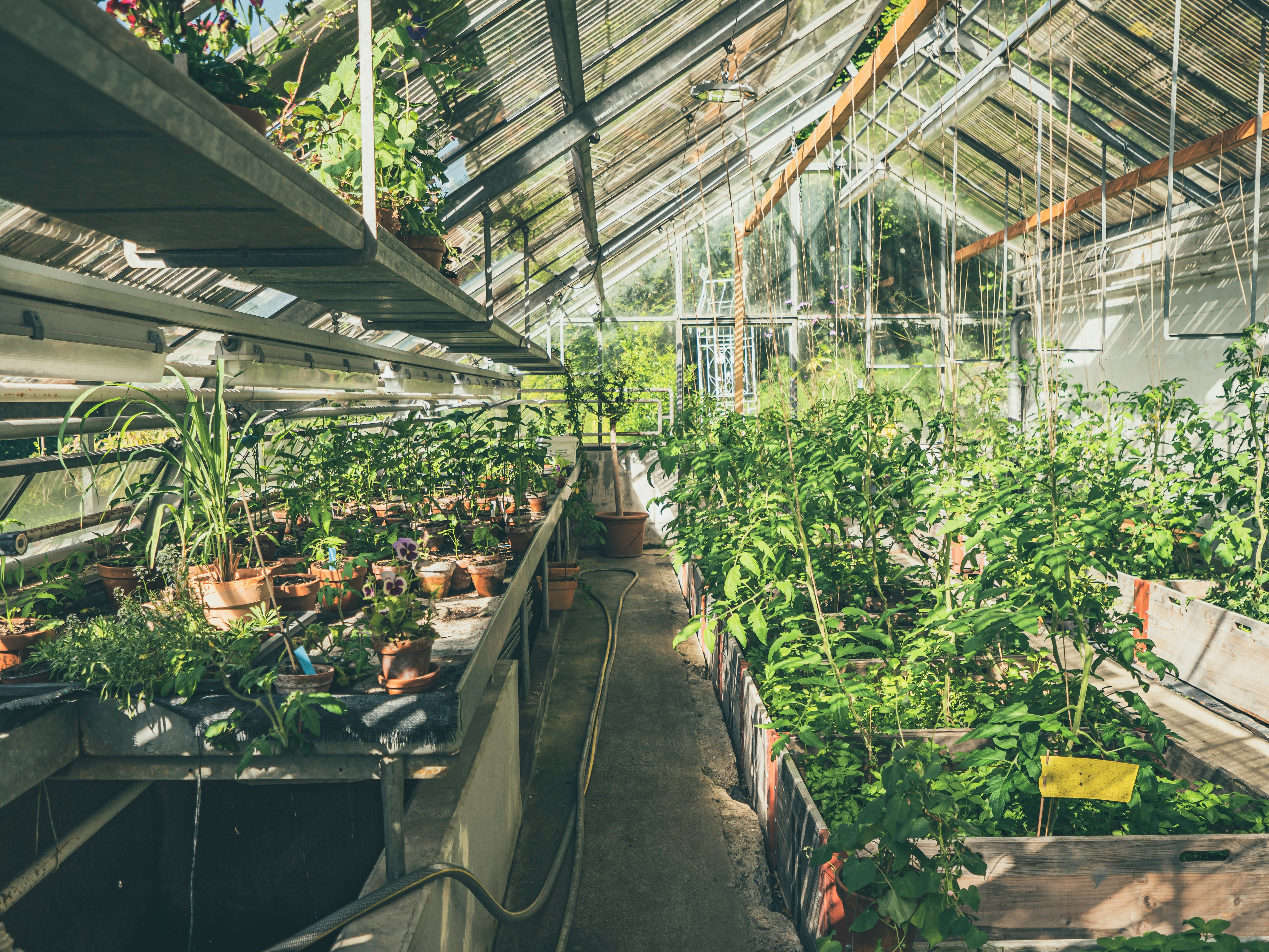 How to Start Gardening Business