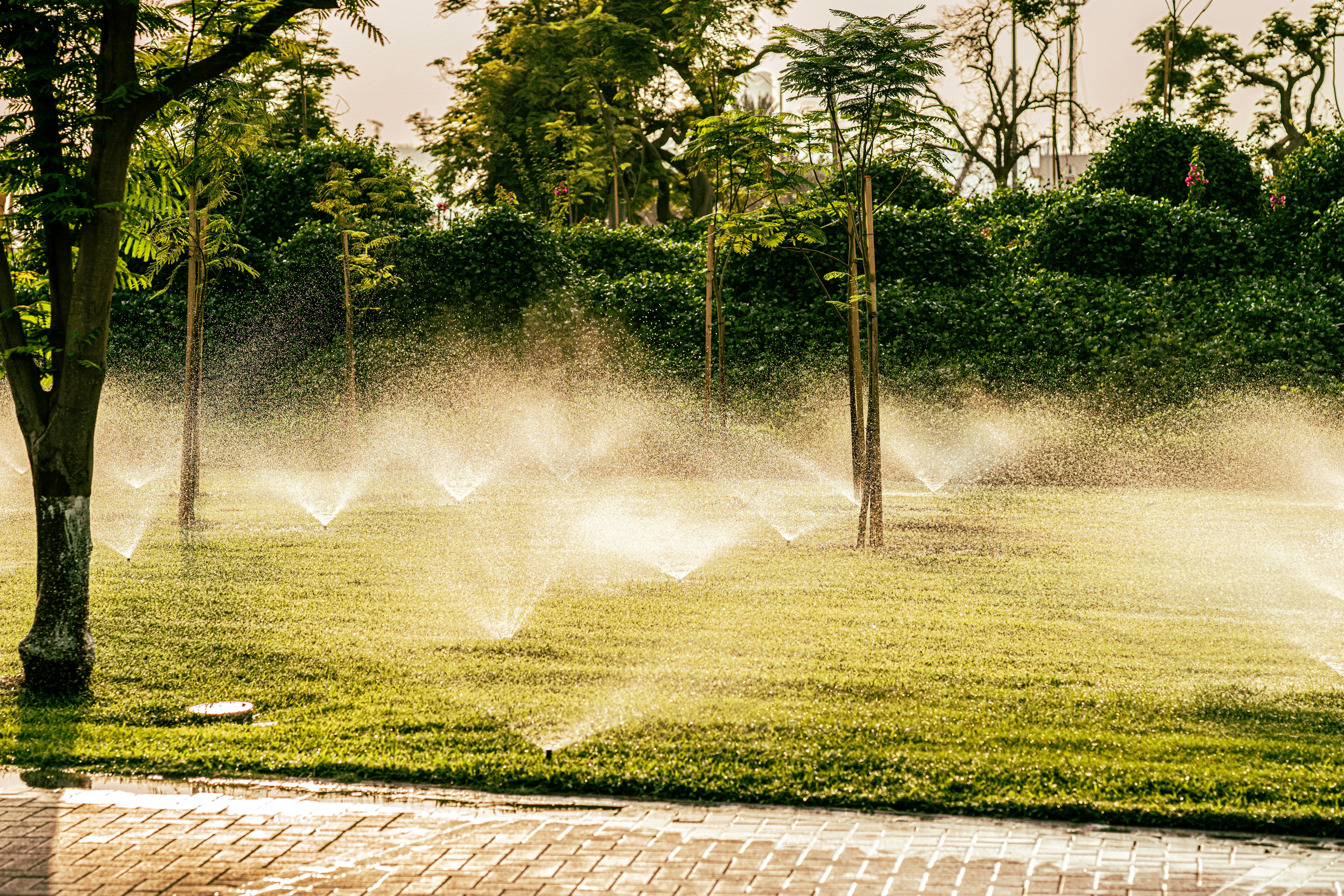 Irrigation Services